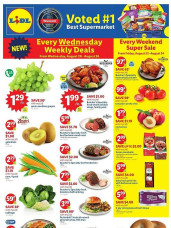 Lidl ad catalog