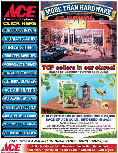 Ace Hardware ad catalog