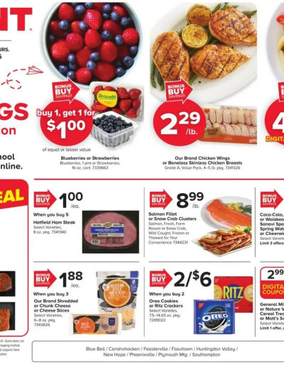 GIANT ad catalog