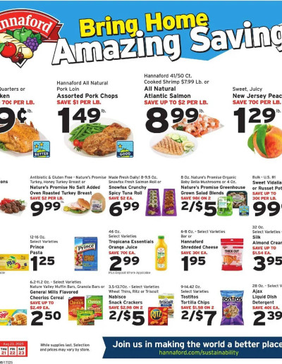 Hannaford ad catalog