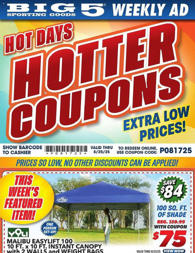 Big 5 ad catalog