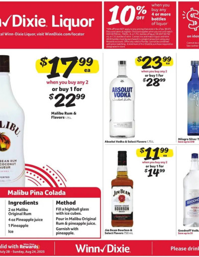 Winn Dixie ad catalog