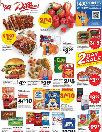 Dillons ad catalog