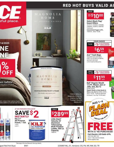 Ace Hardware ad catalog