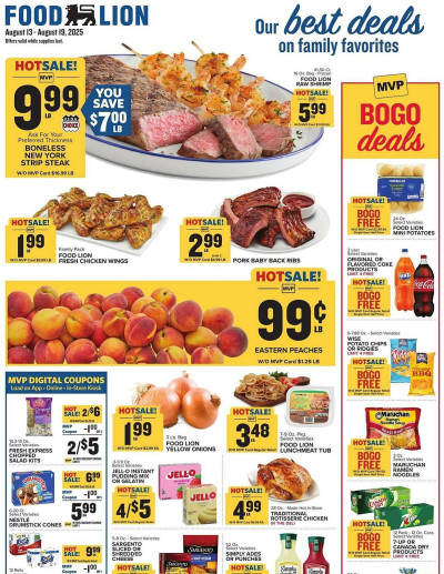 Food Lion ad catalog